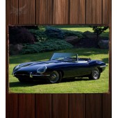 Металлическая табличка Jaguar E-Type Open Two Seater (Series I)